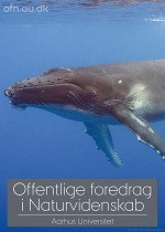 Foredrag: Med havets k�mper p� jagt