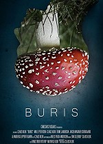 Buris