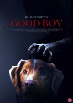 Good Boy