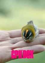 CPH:DOX: Watching People Watching Birds